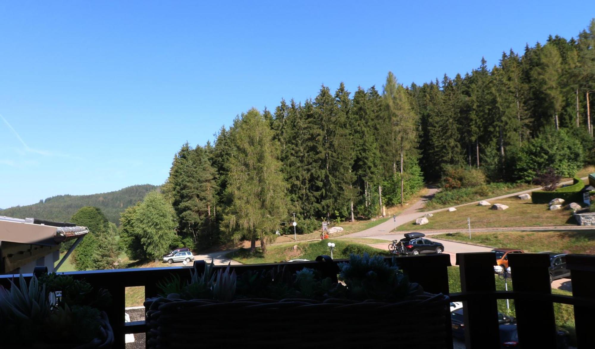 Apartment App 24011 - Waldblick - Indoorpool, Schluchsee